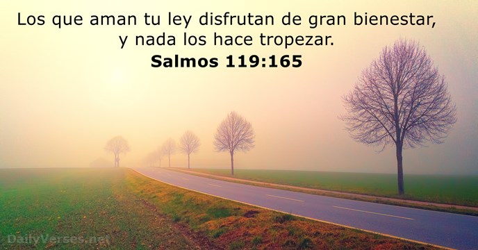 Salmo 119:165