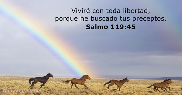 Viviré con toda libertad, porque he buscado tus preceptos. Salmo 119:45