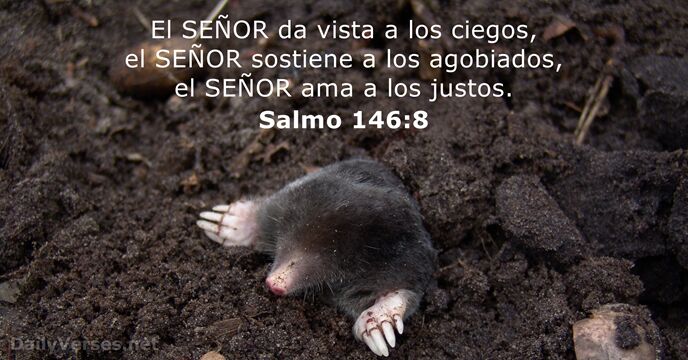 Salmo 146:8