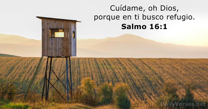Cuídame, oh Dios, porque en ti busco refugio. Salmo 16:1