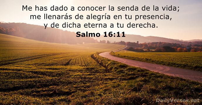 Me has dado a conocer la senda de la vida; me llenarás… Salmo 16:11