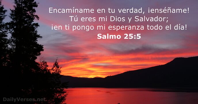 Encamíname en tu verdad, ¡enséñame! Tú eres mi Dios y Salvador; ¡en… Salmo 25:5