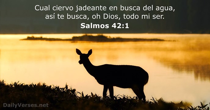 Cual ciervo jadeante en busca del agua, así te busca, oh Dios… Salmo 42:1
