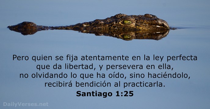 Santiago 1:25