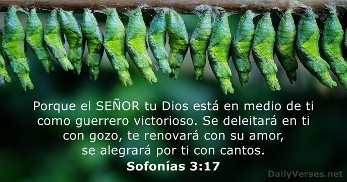 Porque el SEÑOR tu Dios está en medio de ti como guerrero… Sofonías 3:17