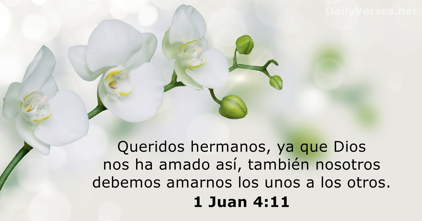 2 de julio de 2024 - Versículo de la Biblia del día - 1 Juan 4:11 ...