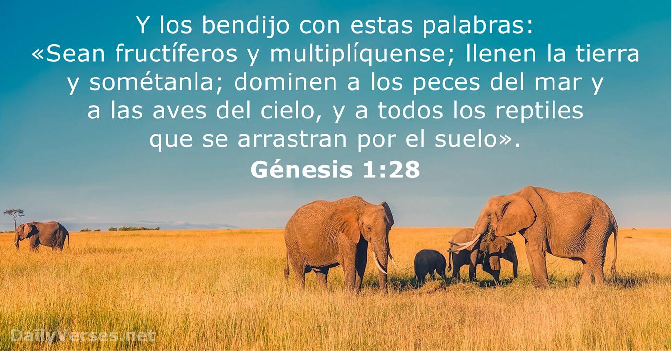 Génesis 1:28 - Versículo de la Biblia - DailyVerses.net