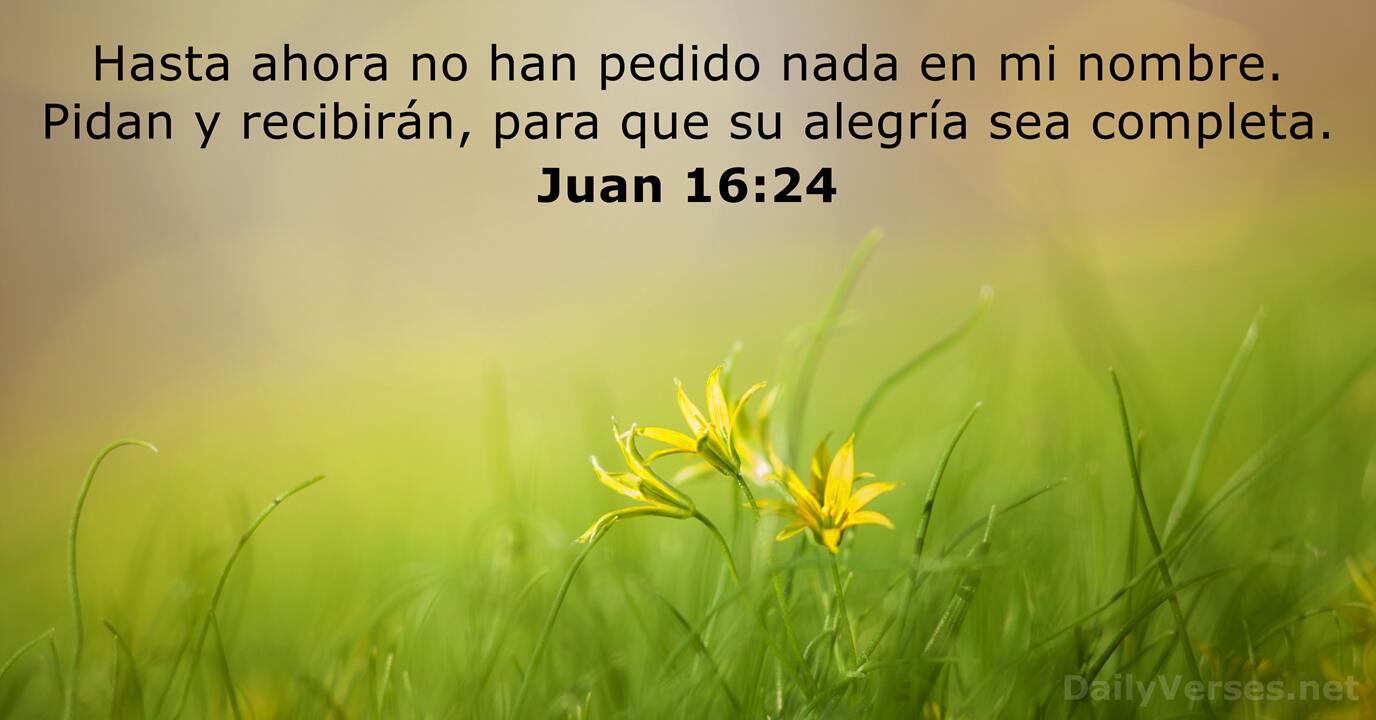 Juan 16 24 Versículo De La Biblia Del Día