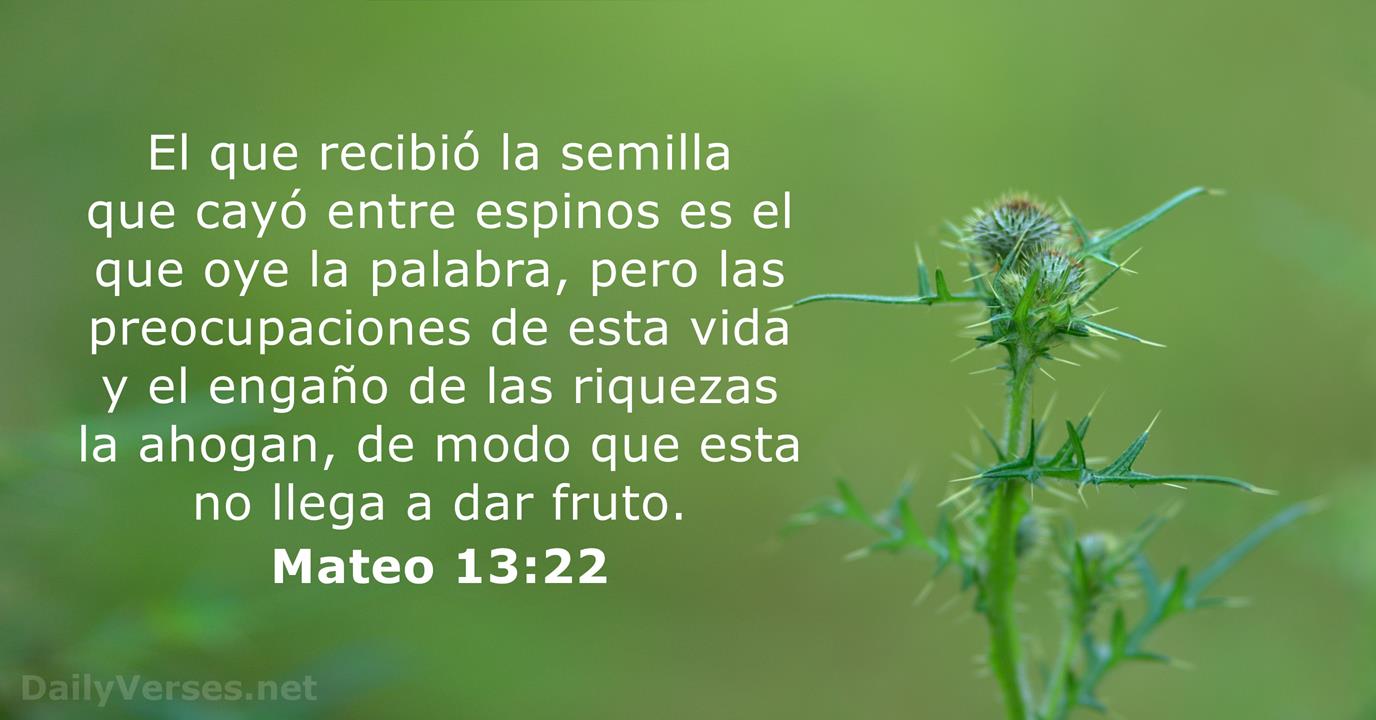 Mateo 13 22 Vers culo De La Biblia DailyVerses