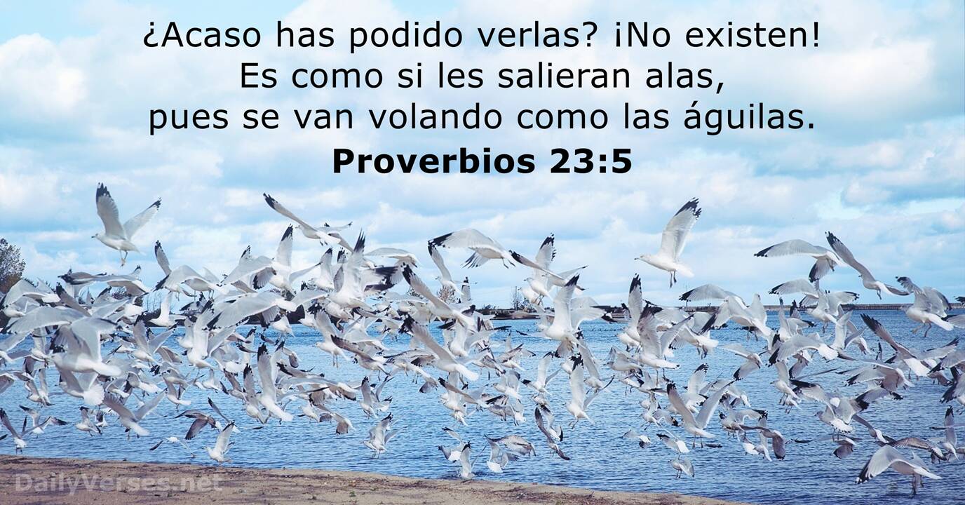 Proverbios 23:5 - Versículo de la Biblia 