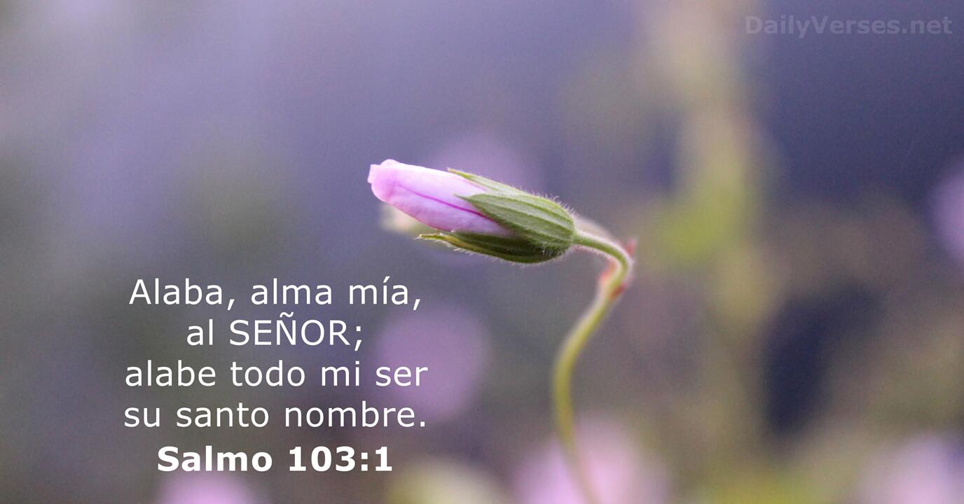 NVI Verse of the Day: Salmos 103:1-2