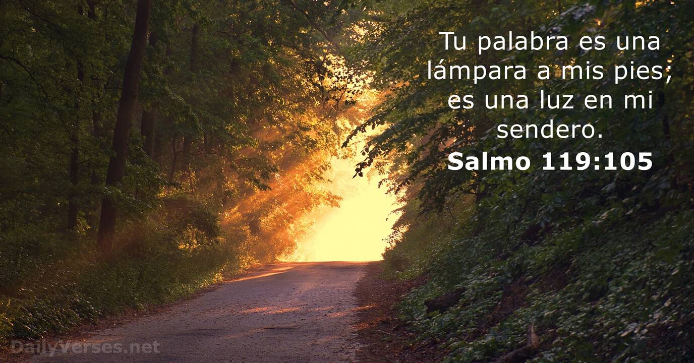 salmo-119-105-vers-culo-de-la-biblia-dailyverses