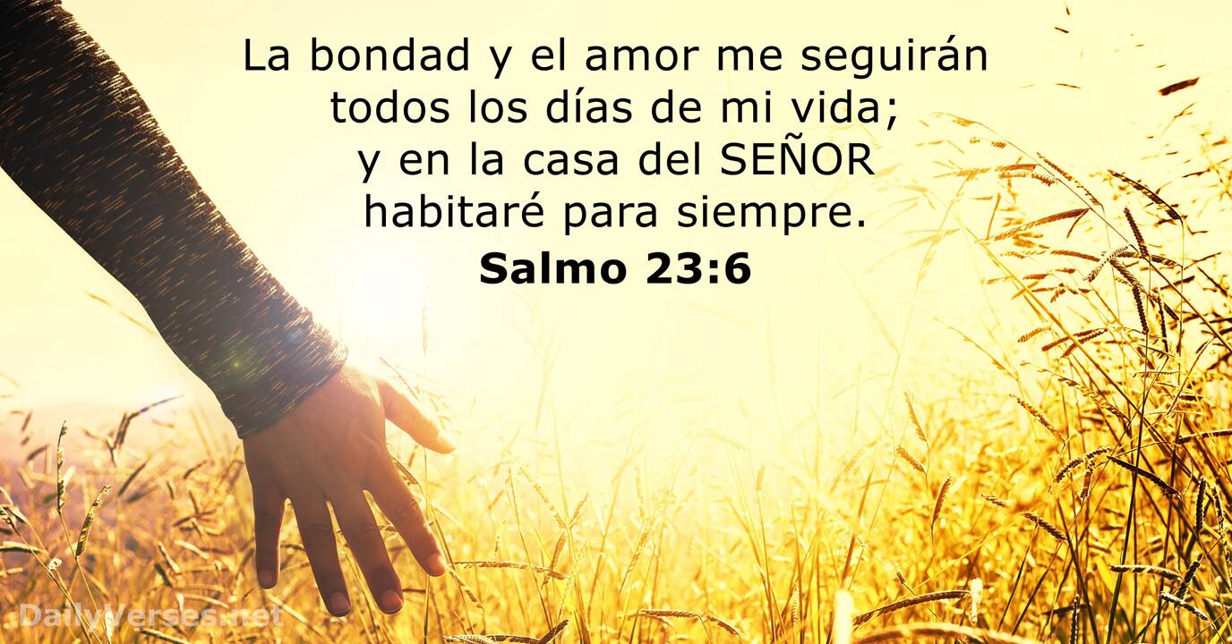 Salmos 23 6 Rvr60 Versículo De La Biblia Del Día