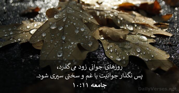 جامعه ۱۱:‏۱۰