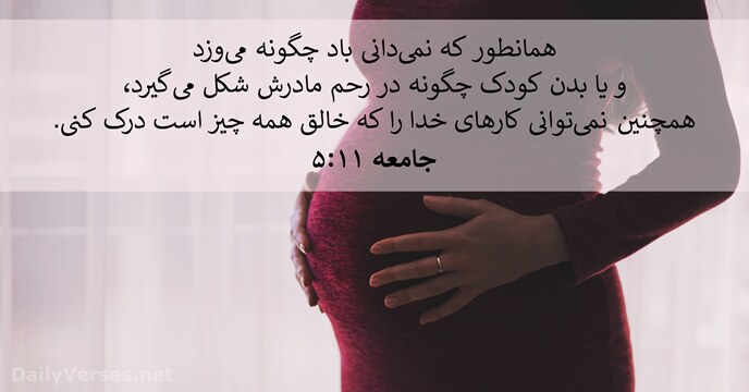 جامعه ۱۱:‏۵