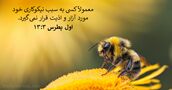 اول پطرس ۳:‏۱۳