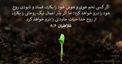 غلاطيان ۶:‏۸