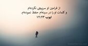 ايوب ۲۳:‏۱۲