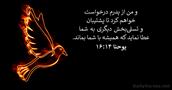 يوحنا ۱۴:۱۶