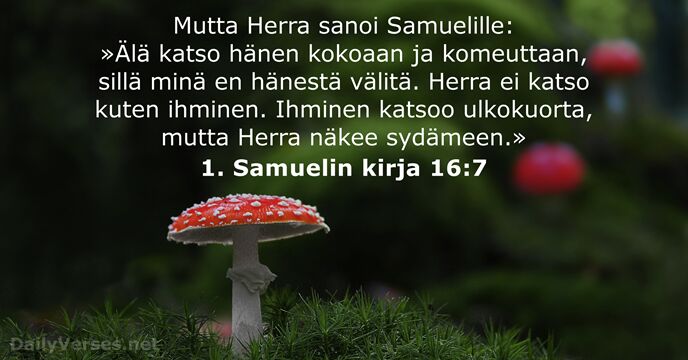 1. Samuelin kirja 16:7