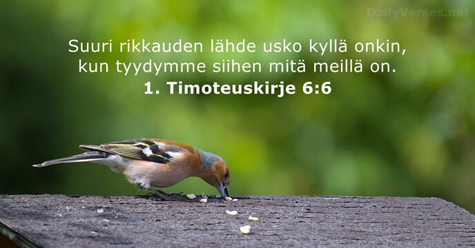 Suuri rikkauden lähde usko kyllä onkin, kun tyydymme siihen mitä meillä on. 1. Timoteuskirje 6:6