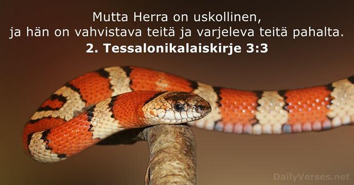 2. Tessalonikalaiskirje 3:3