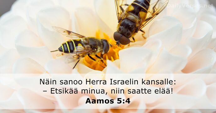 Näin sanoo Herra Israelin kansalle: – Etsikää minua, niin saatte elää! Aamos 5:4