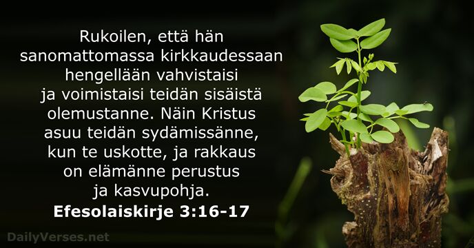 Efesolaiskirje 3:16-17