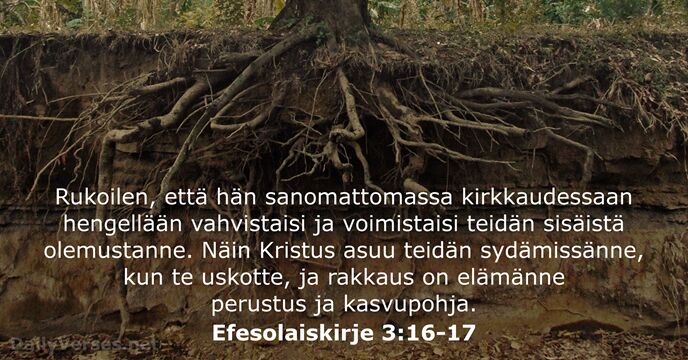 Efesolaiskirje 3:16-17