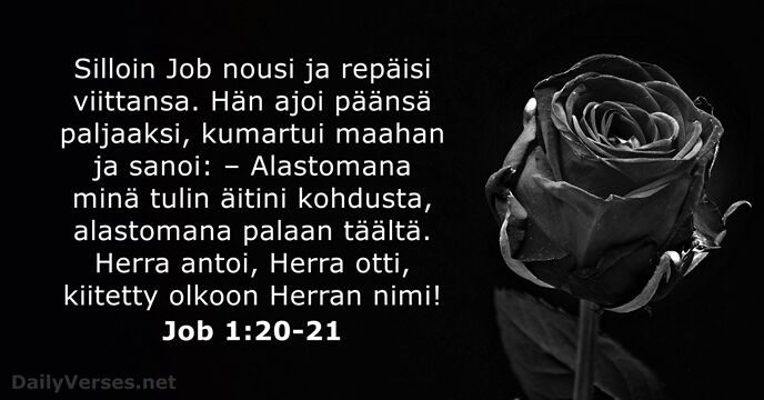 Job 1:20-21