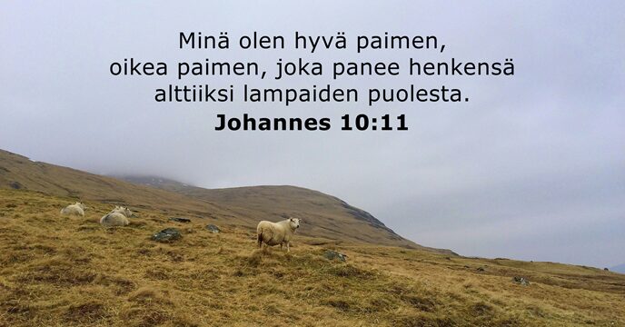 Johannes 10:11