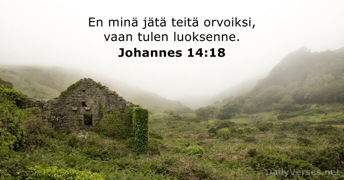 En minä jätä teitä orvoiksi, vaan tulen luoksenne. Johannes 14:18