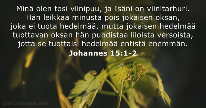 Johannes 15:1-2