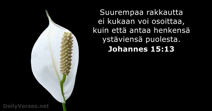 Johannes 15:13