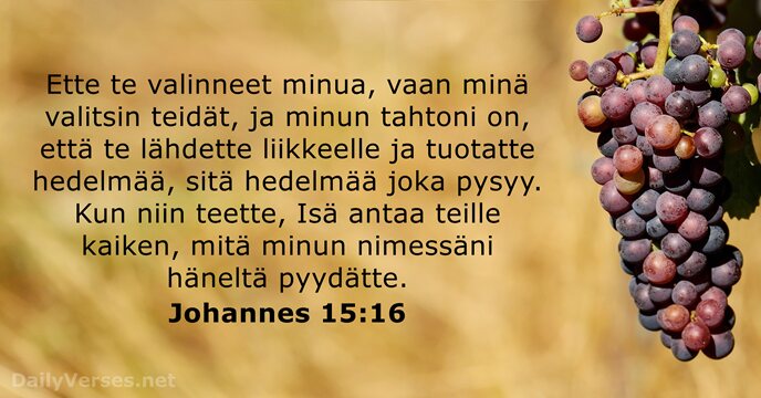 Ette te valinneet minua, vaan minä valitsin teidät, ja minun tahtoni on… Johannes 15:16