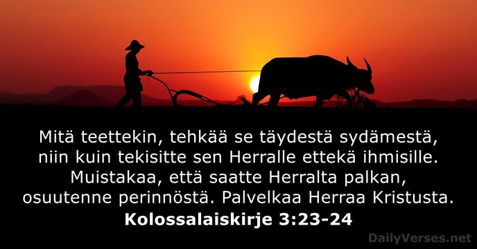 Mitä teettekin, tehkää se täydestä sydämestä, niin kuin tekisitte sen Herralle ettekä… Kolossalaiskirje 3:23-24