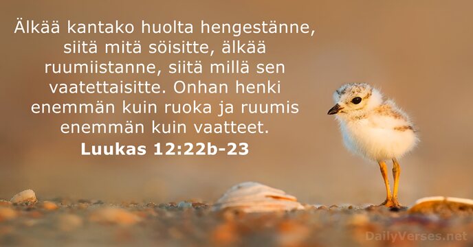 Luukas 12:22b-23