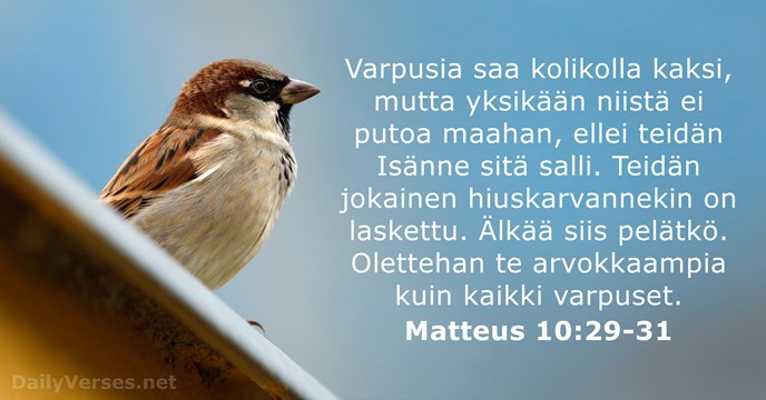 Matteus 10:29-31
