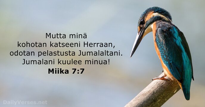 Miika 7:7