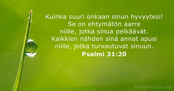 Kuinka suuri onkaan sinun hyvyytesi! Se on ehtymätön aarre niille, jotka sinua… Psalmi 31:20