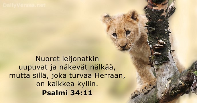 Nuoret leijonatkin uupuvat ja näkevät nälkää, mutta sillä, joka turvaa Herraan, on kaikkea kyllin. Psalmi 34:11