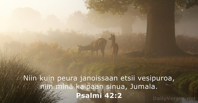 Niin kuin peura janoissaan etsii vesipuroa, niin minä kaipaan sinua, Jumala. Psalmi 42:2