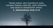 1. Johanneksen kirje 5:13