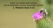 1. Pietarin kirje 3:13