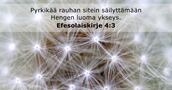 Efesolaiskirje 4:3