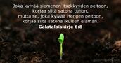 Galatalaiskirje 6:8