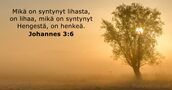 Johannes 3:6