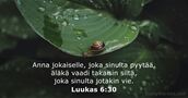 Luukas 6:30