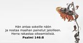 Psalmi 146:8