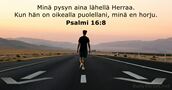 Psalmi 16:8